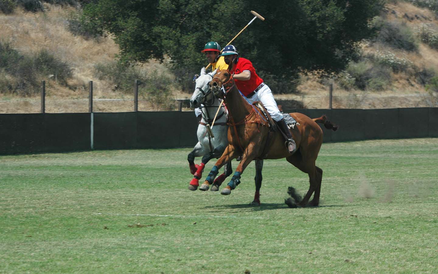 مباراة بولو