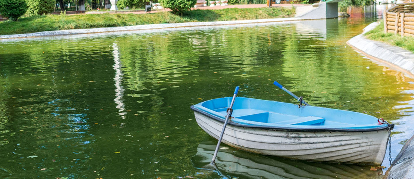 قارب في بحيرة