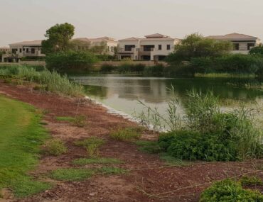 المرابع العربية