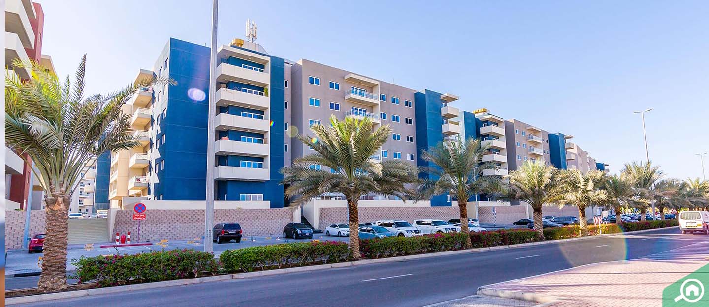 مبانٍ وشارع في الريف