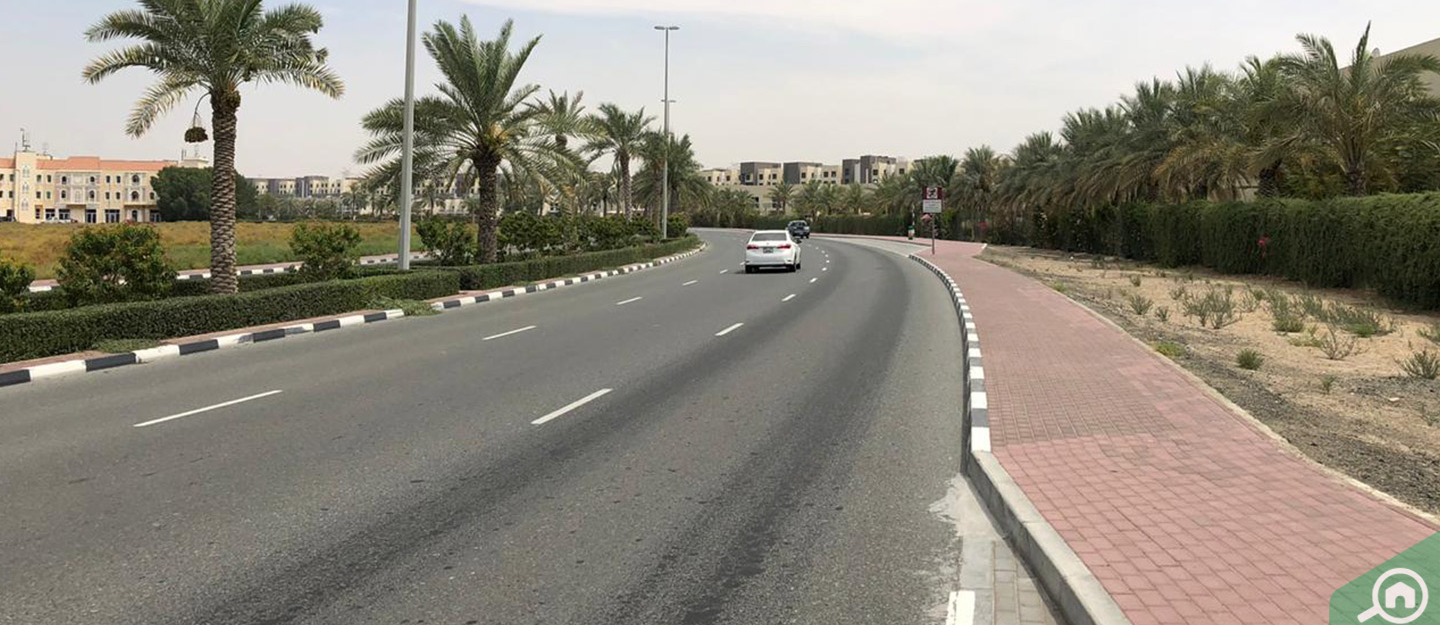 سيارة في شارع منطقة الورسان