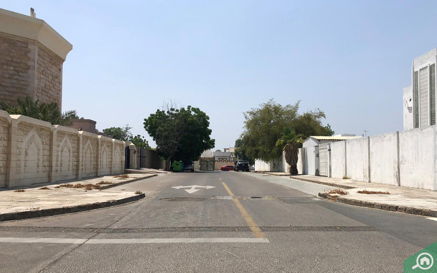 شارع لفلل في المنصورة