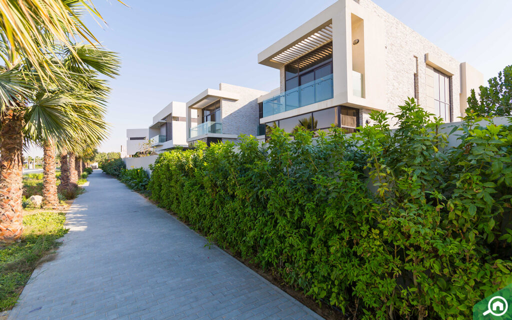 peaceful suburban living