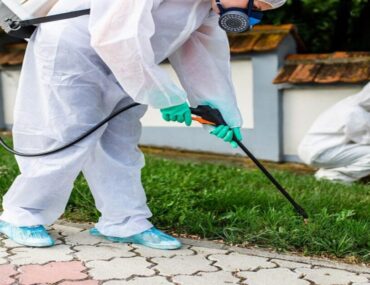 عمال مكافحة افات