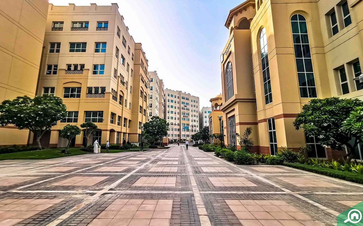 Top Areas to Rent Studio Apartments in Dubai MyBayut