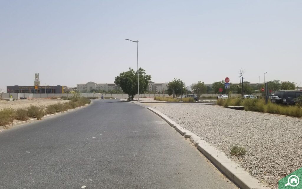 Quiet street view in Rabdan with paved road and gravel roadside landscaping.