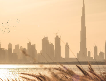 محمية راس الخور دبي