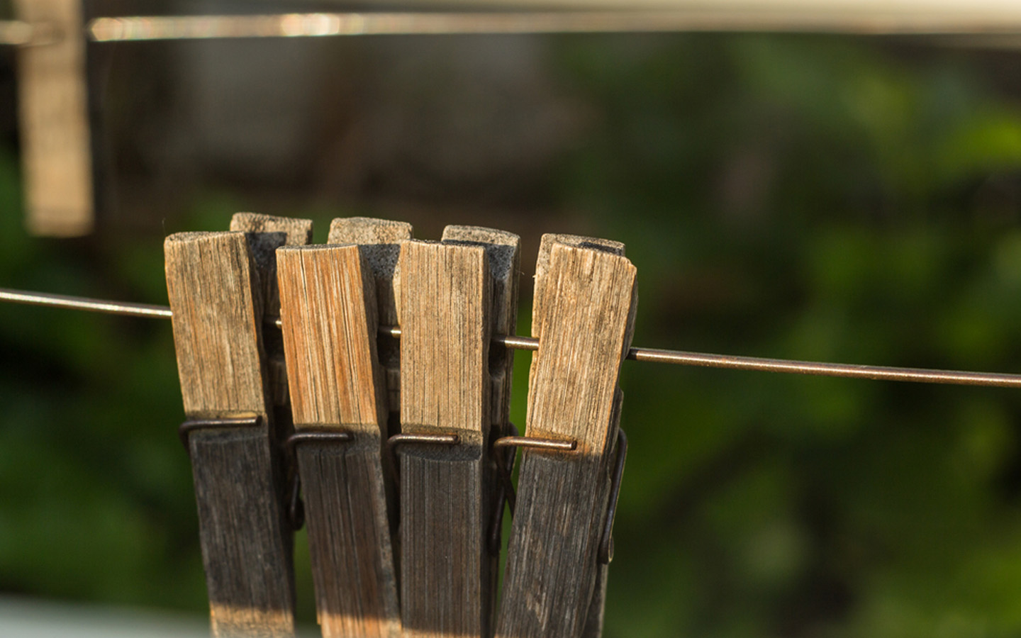 ملاقط للغسيل