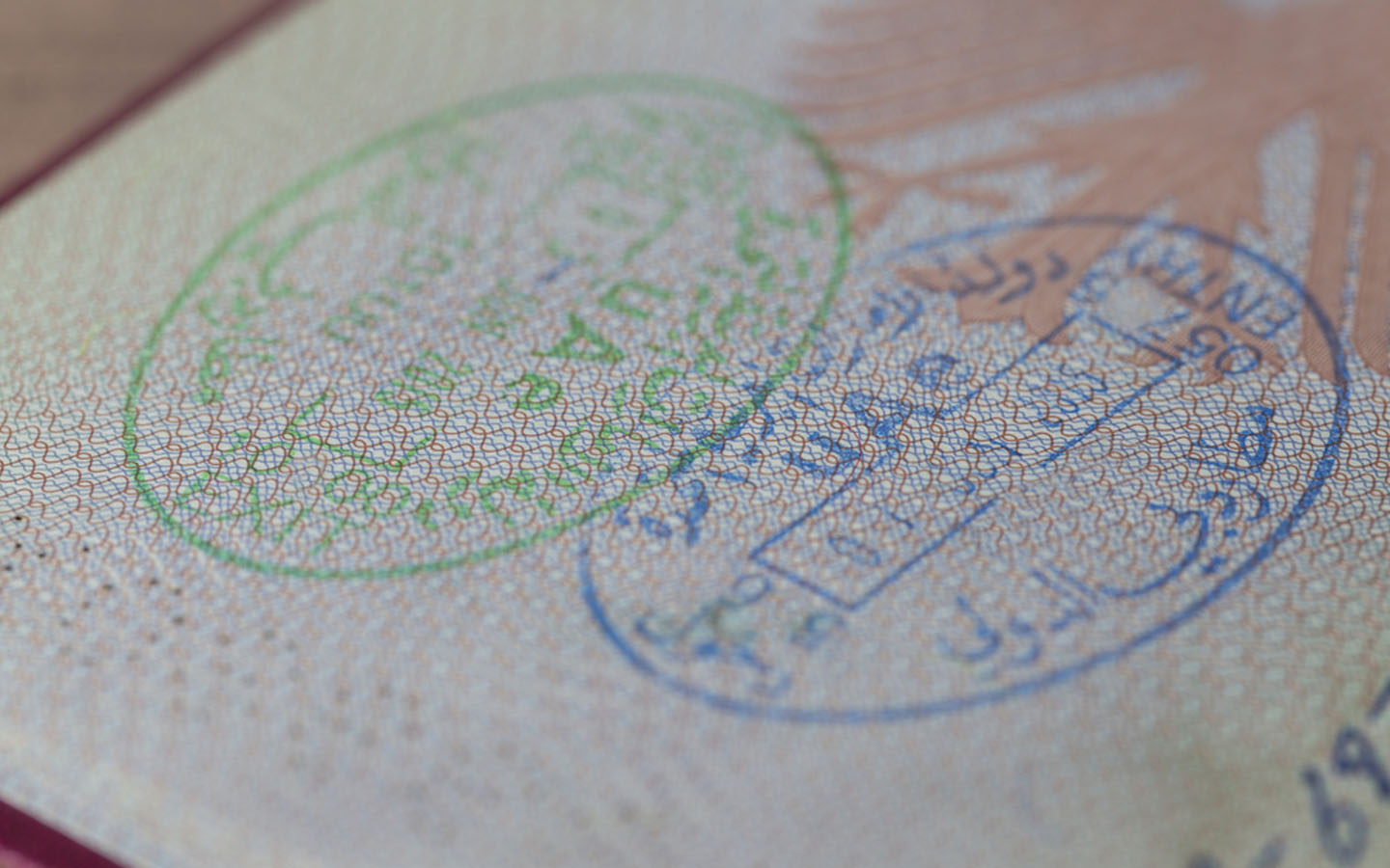 تكاليف تجديد الإقامة في الإمارات