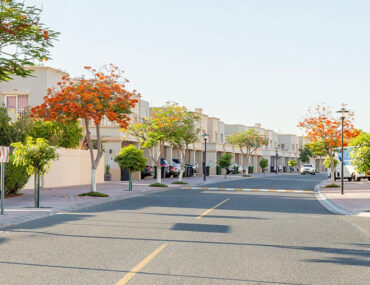Areas to rent villas in the springs