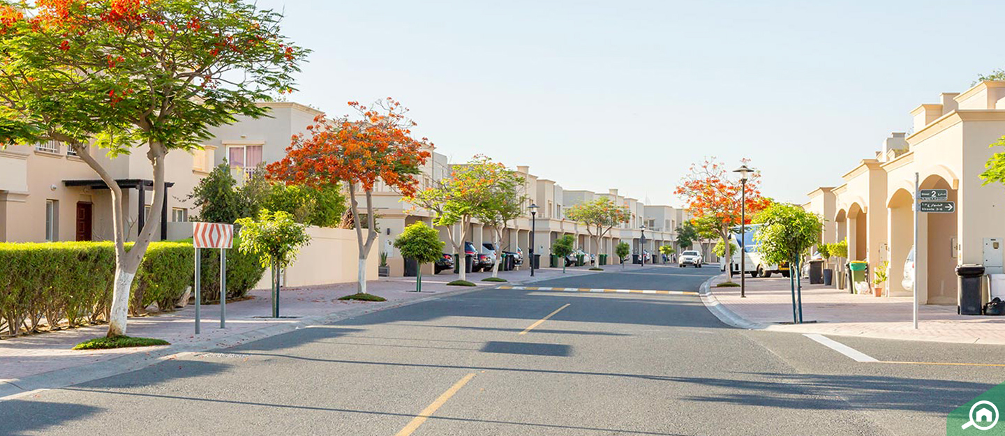 Areas to rent villas in the springs