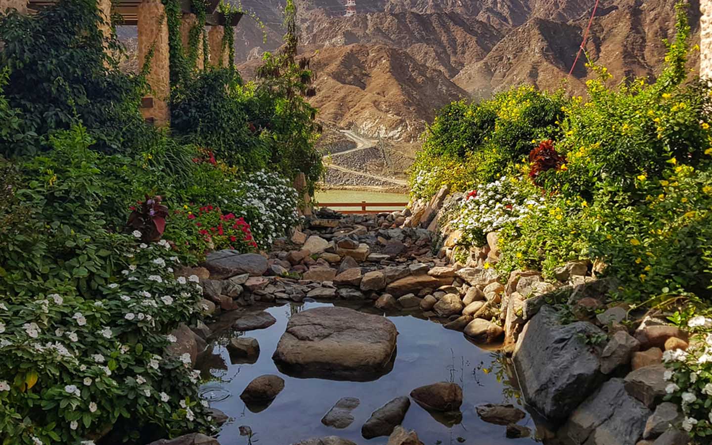 منظر خلاب من إحدى محميات الفجيرة