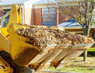 Yellow excavator lifting leafy waste as a part of Dibba Municipality job
