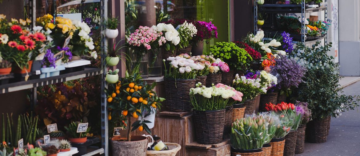 Best Flower Shops in Dubai Permual, Blossoms & More MyBayut
