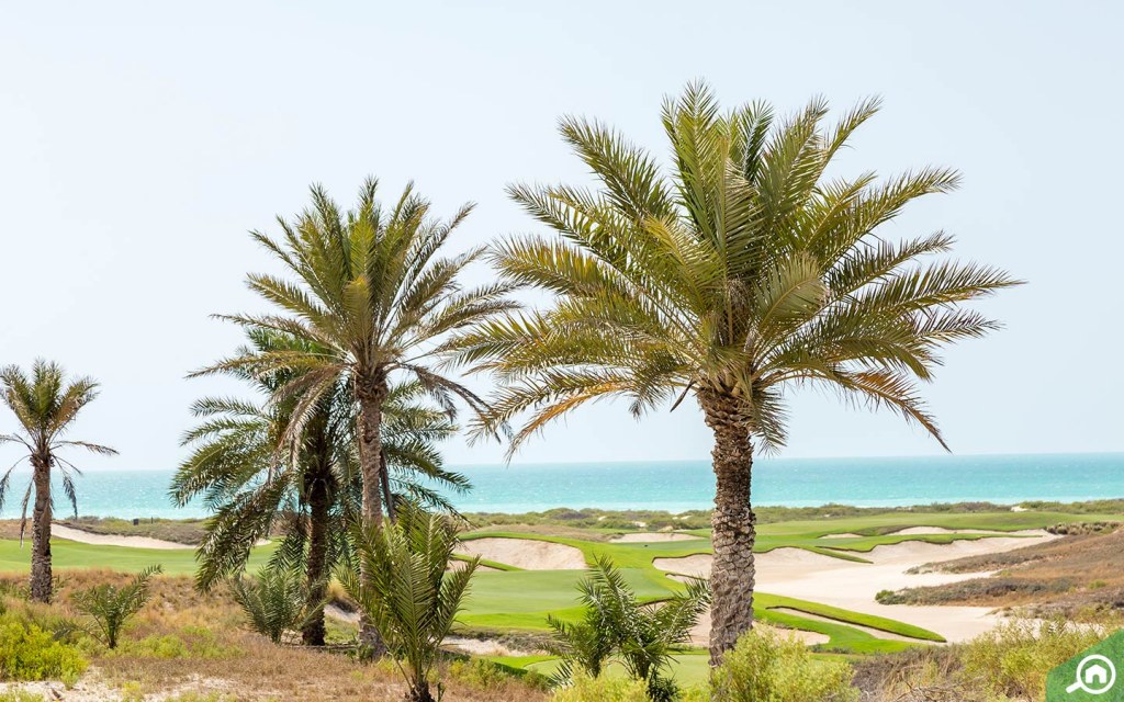 View of beach and golf course in Saadiyat Island