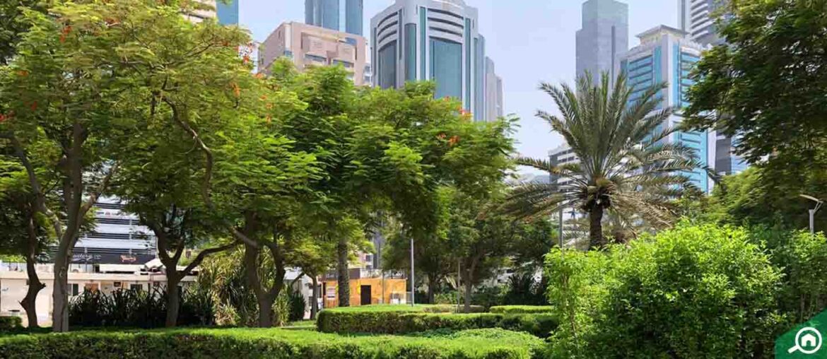 al-satwa-park-in-dubai-location-timings-more-mybayut