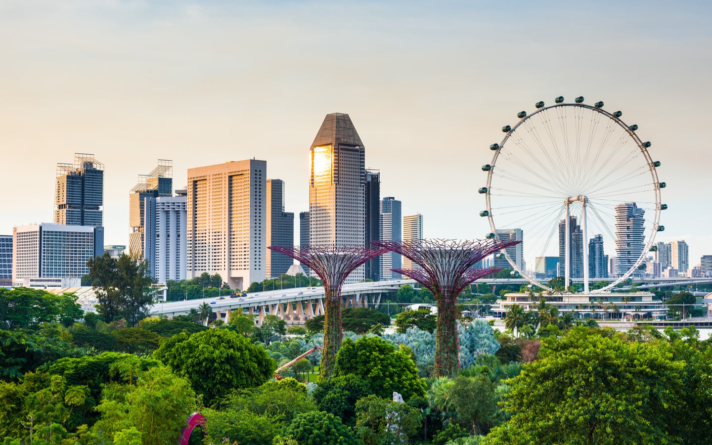 View of Gardens by the Bay and Singapore Flyer