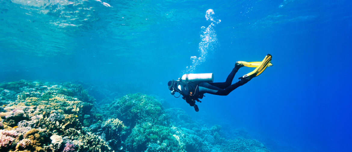 Top Spots for Snorkelling and Scuba Diving in Abu Dhabi MyBayut