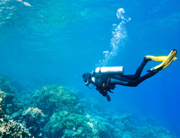 اماكن الغوص في ابوظبي