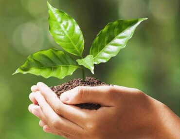 Sustainable development in the UAE