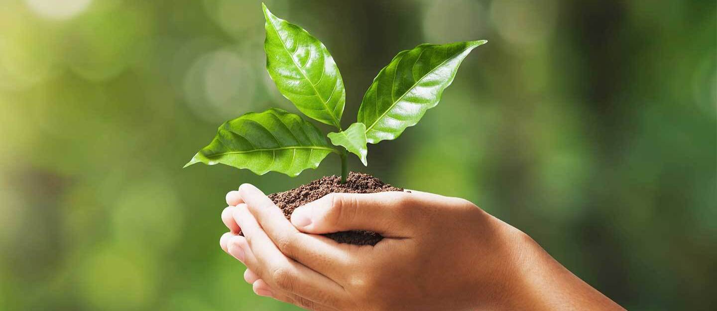 Sustainable development in the UAE
