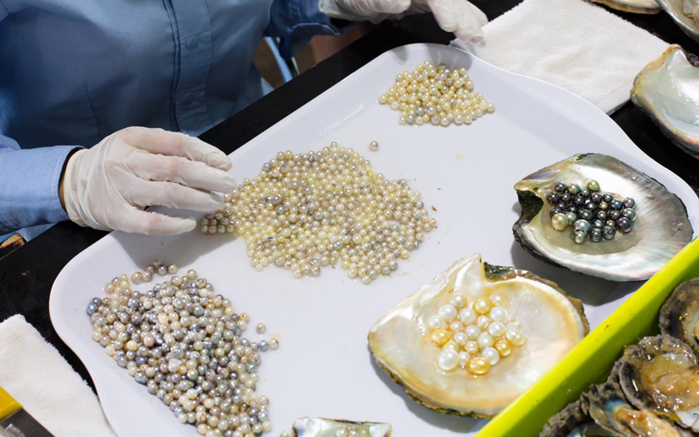 All about Suwaidi Pearl Farm Ticket, timings, location & more MyBayut