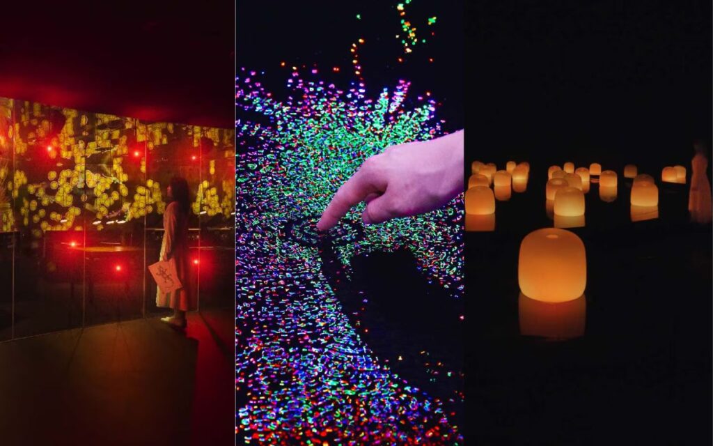 TeamLab Phenomena Abu Dhabi, a one-of-a-kind art experience merging advanced technology, science and interactive installations