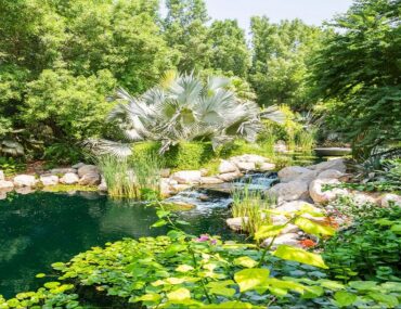 مطعم ذا فارم البراري