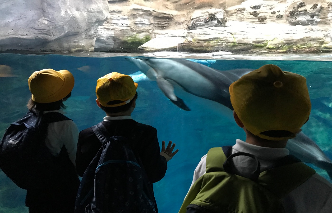 School kids at the Lost Chambers Aquarium Dubai