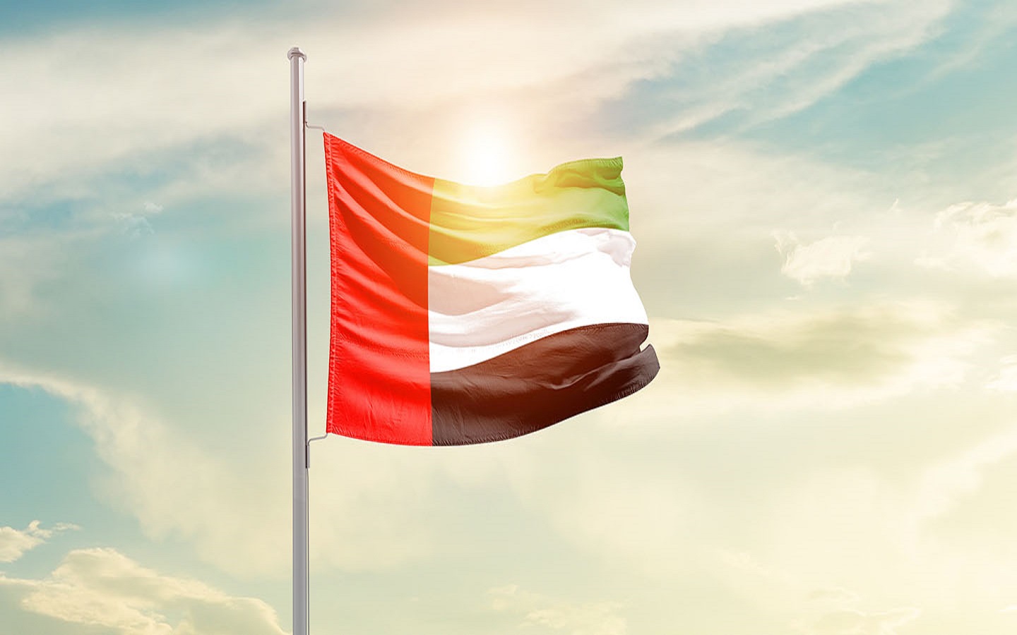 علم في يوم العلم الاماراتي