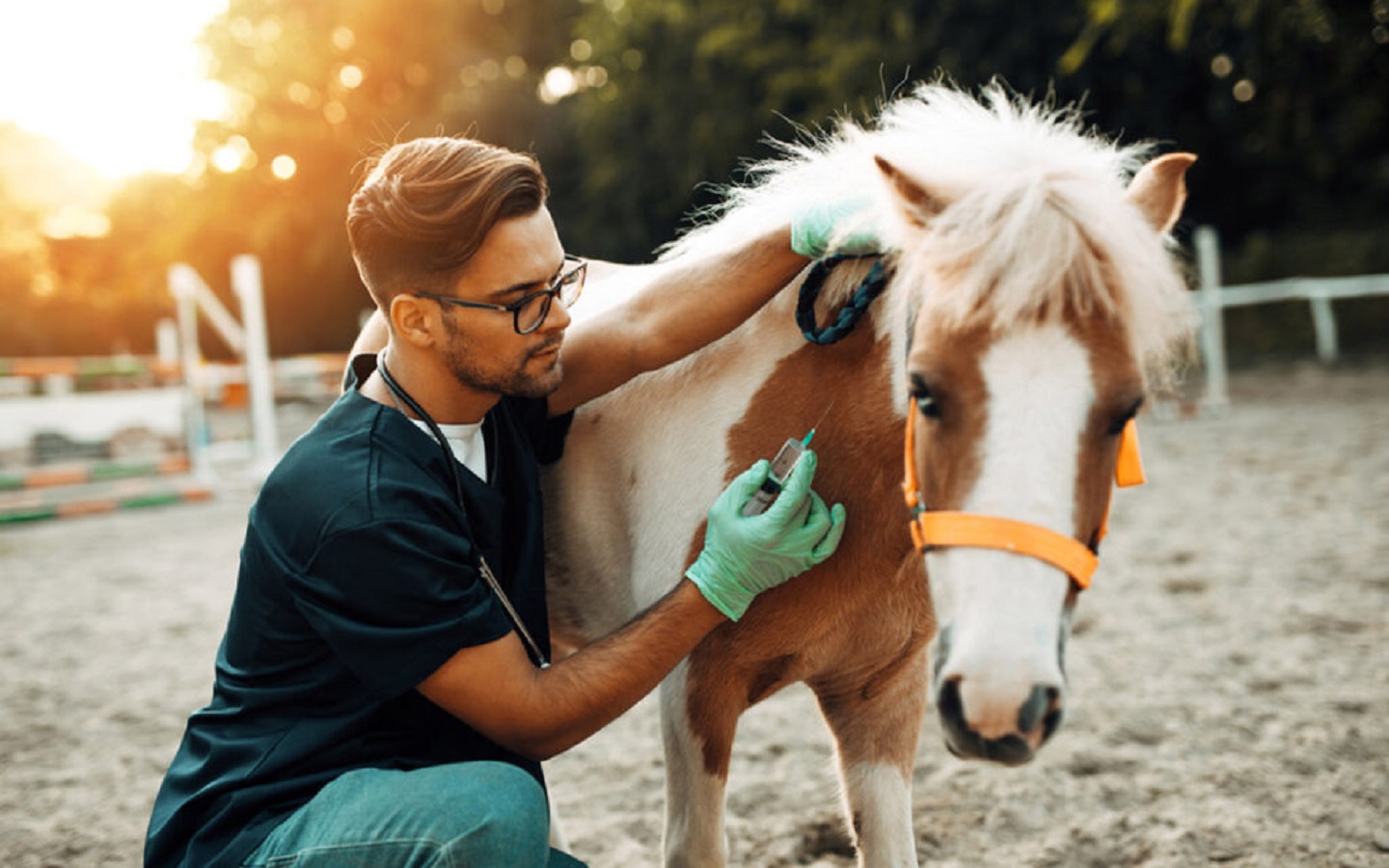 حديقة الحيوان من حدائق ام القيوين