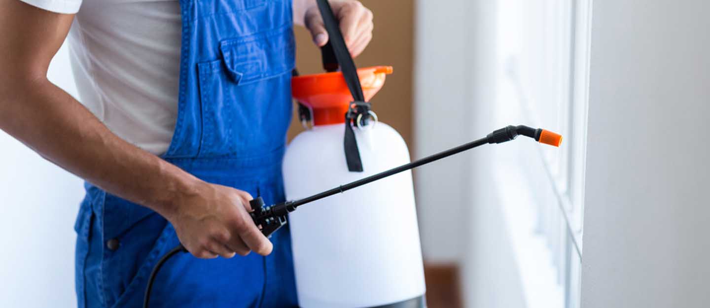 اماكن مكافحة الحشرات في أم القيوين