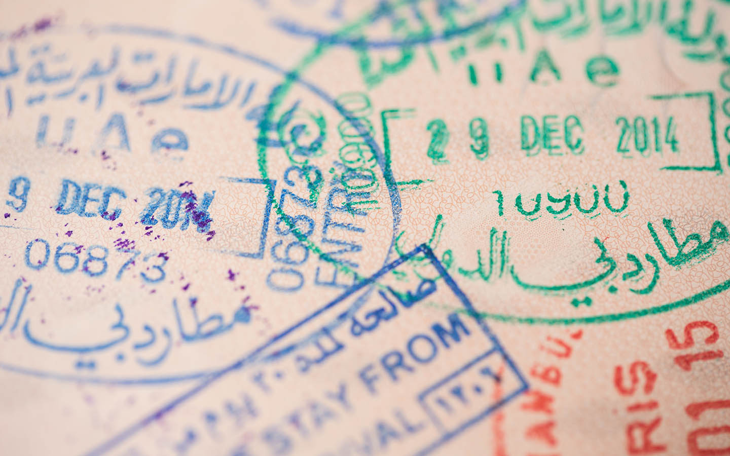 تأشيرة إماراتية