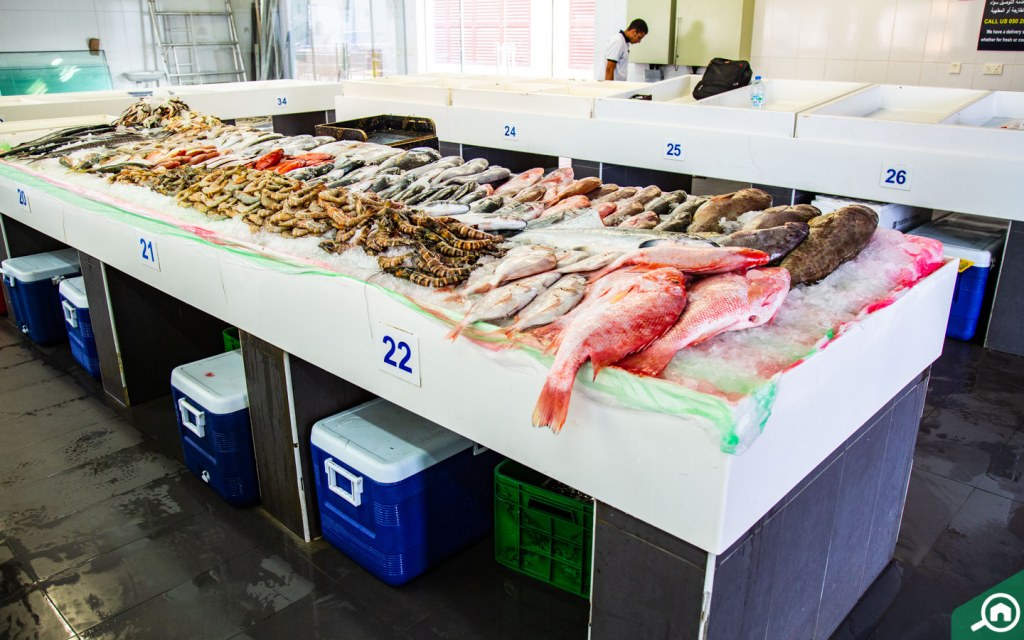 All about Jumeirah Fish Market Timings, Location & more MyBayut