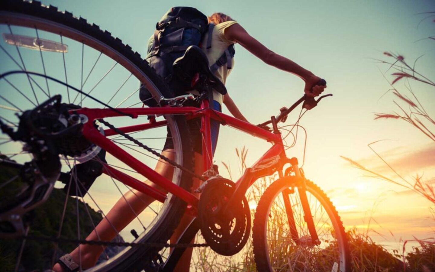 شخصي يمسك بسكليت هوائي