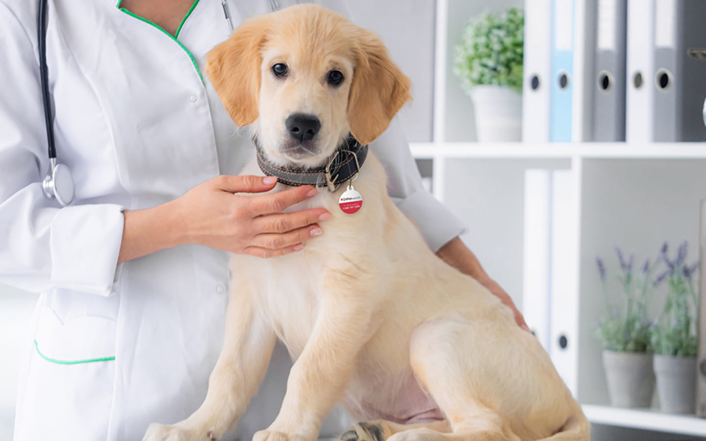 طبيبة بيطرية وكلب