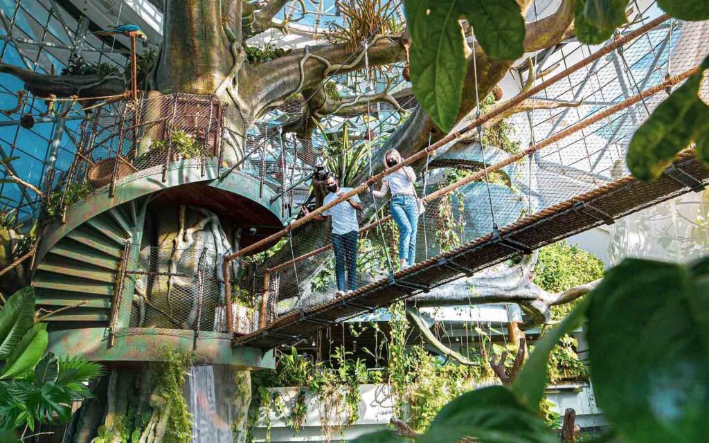 Visitors at The Green Planet Dubai