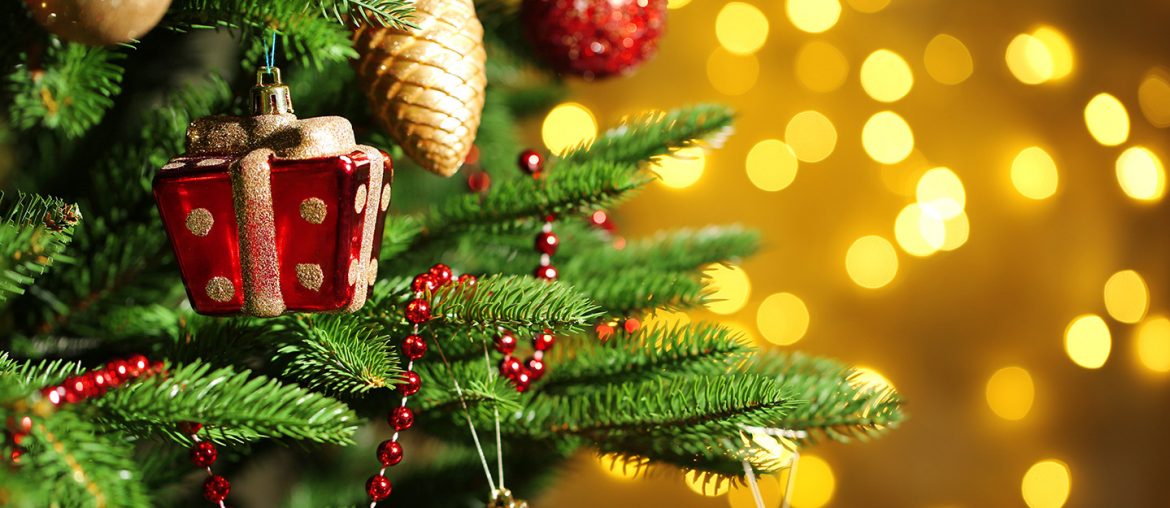 Where to Buy Christmas Trees in Dubai Boutique, ACE & More MyBayut