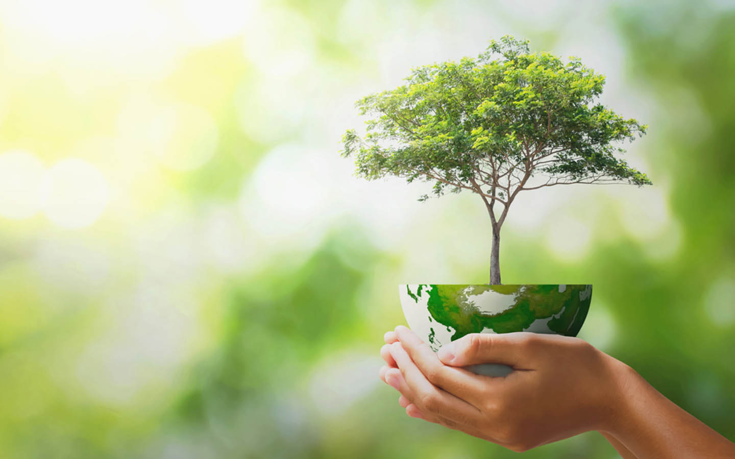 جائزة الشيخ زايد للاستدامة