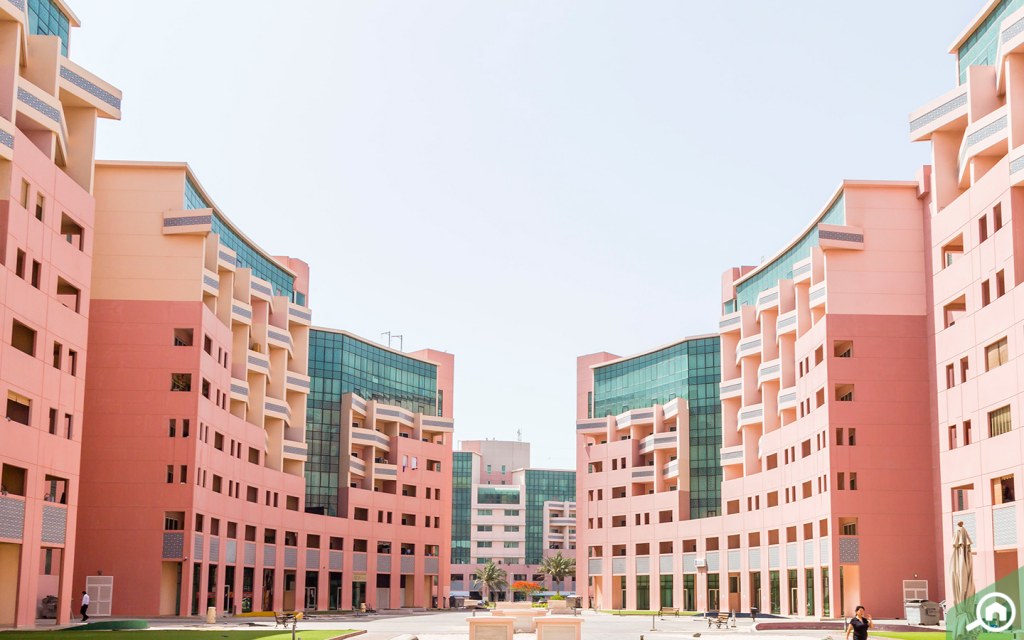 apartments in discovery gardens