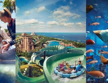 Enjoy breathtaking rides and experiences at Aquaventure World Waterpark in Dubai