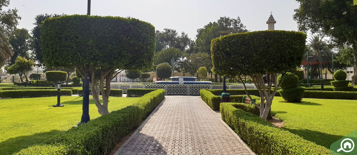 6 Public BBQ Places in Abu Dhabi To Have a Barbecue Party MyBayut