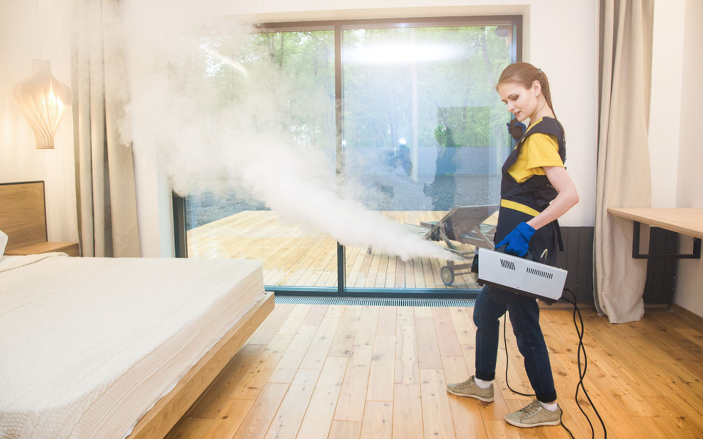 A Complete Guide On How to Get Rid of Beg Bugs in the UAE MyBayut