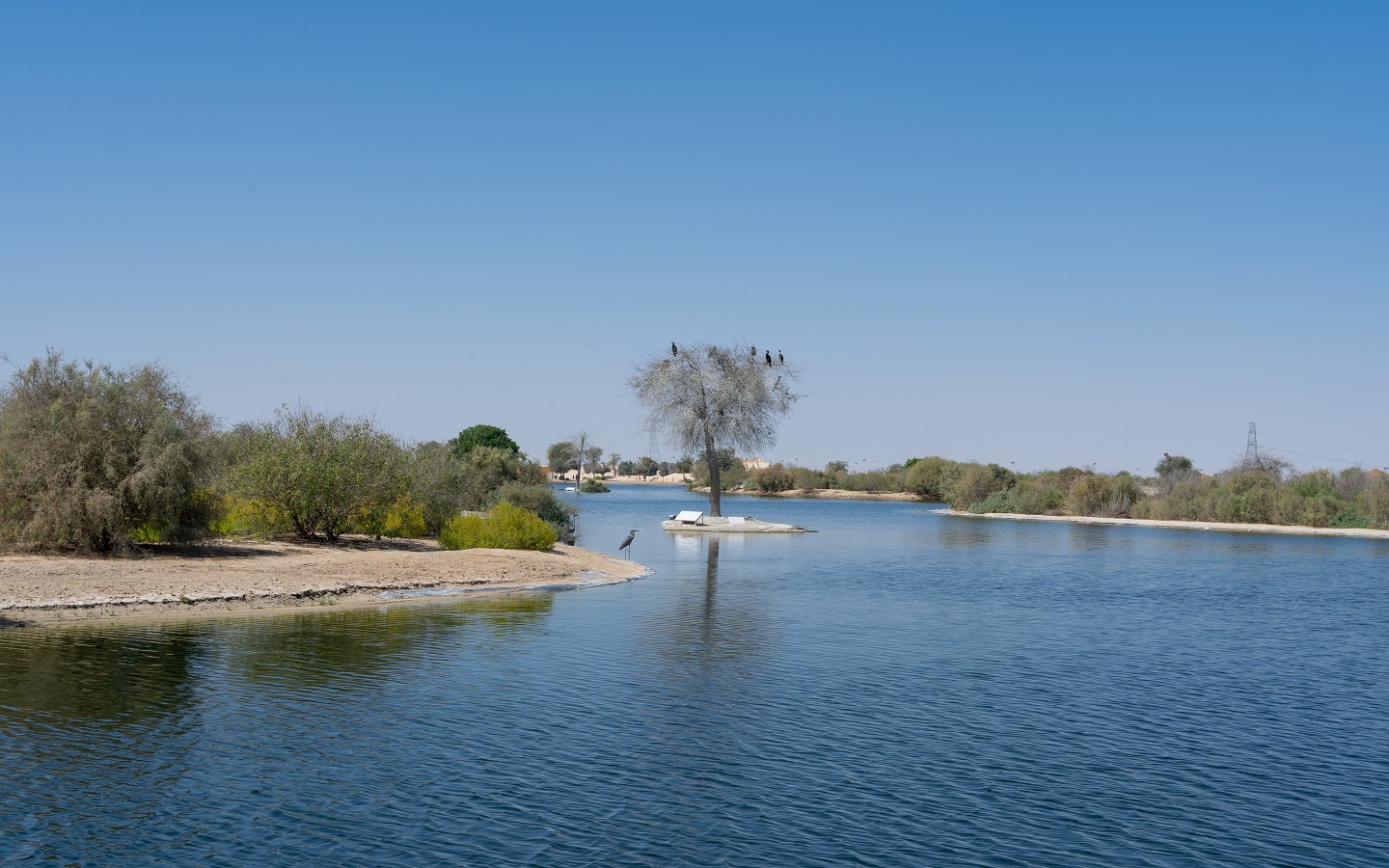 دليل أماكن التخييم في إمارة أبوظبي