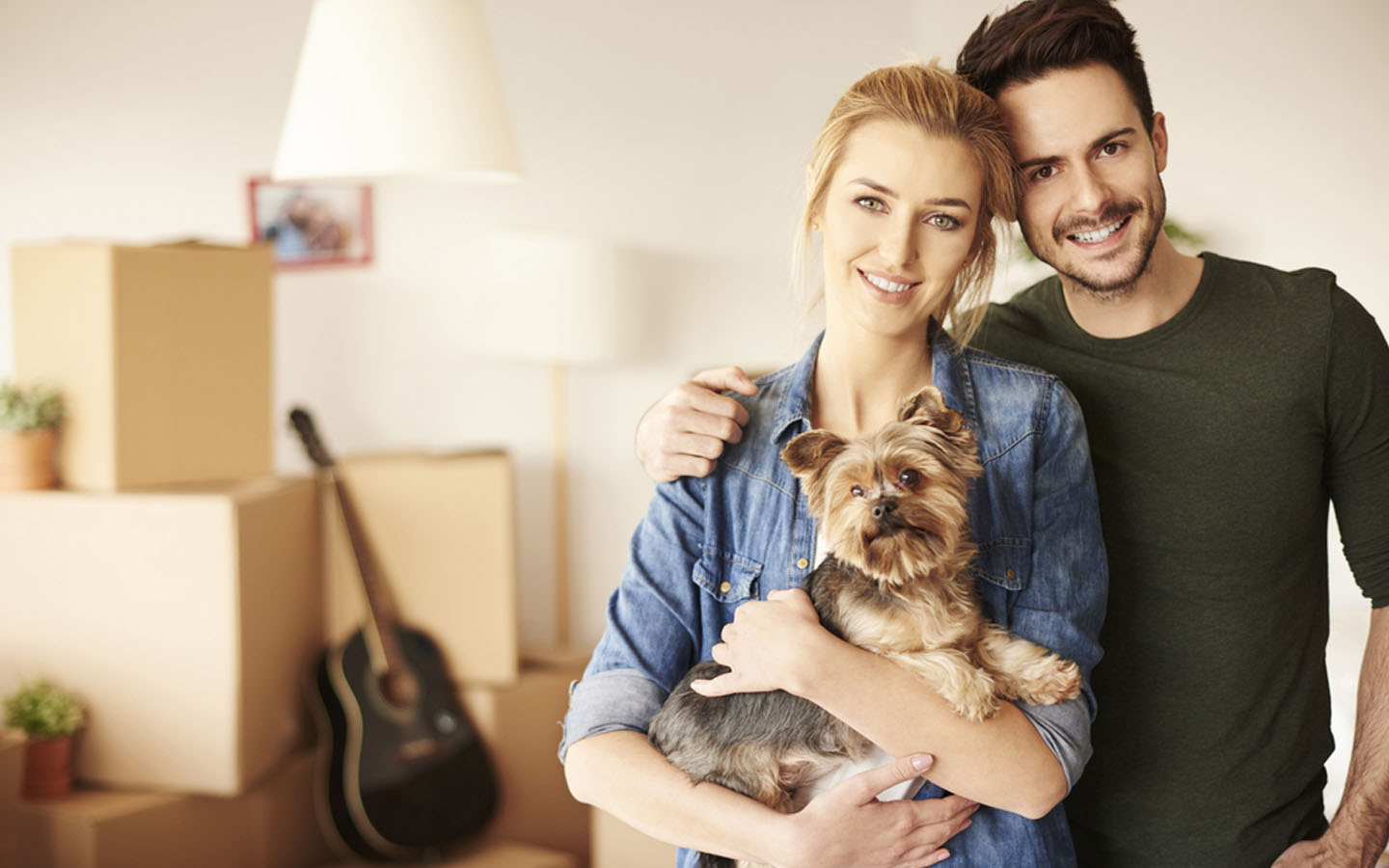 Pet Relocation From The UAE Cost, Requirements & More MyBayut