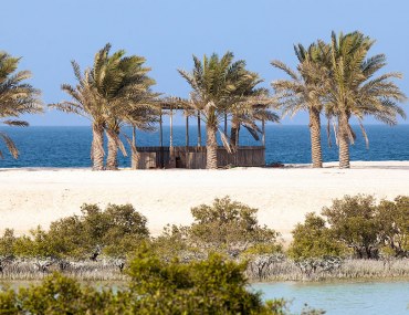 صير بني ياس، جزيرة التاريخ بين أحضان الطبيعة