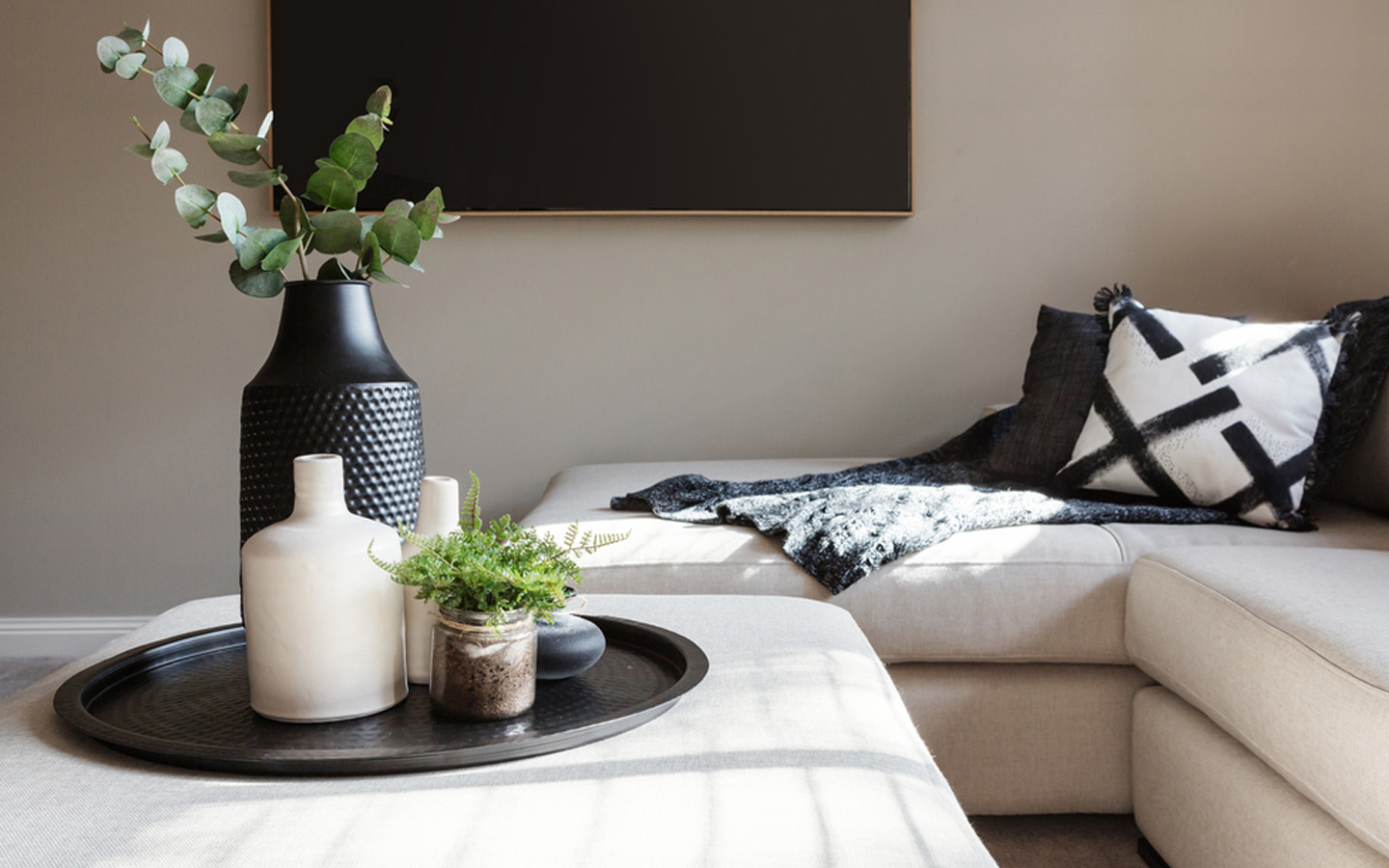 نباتات وكنب 