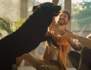 dog-friendly communities to rent in Dubai