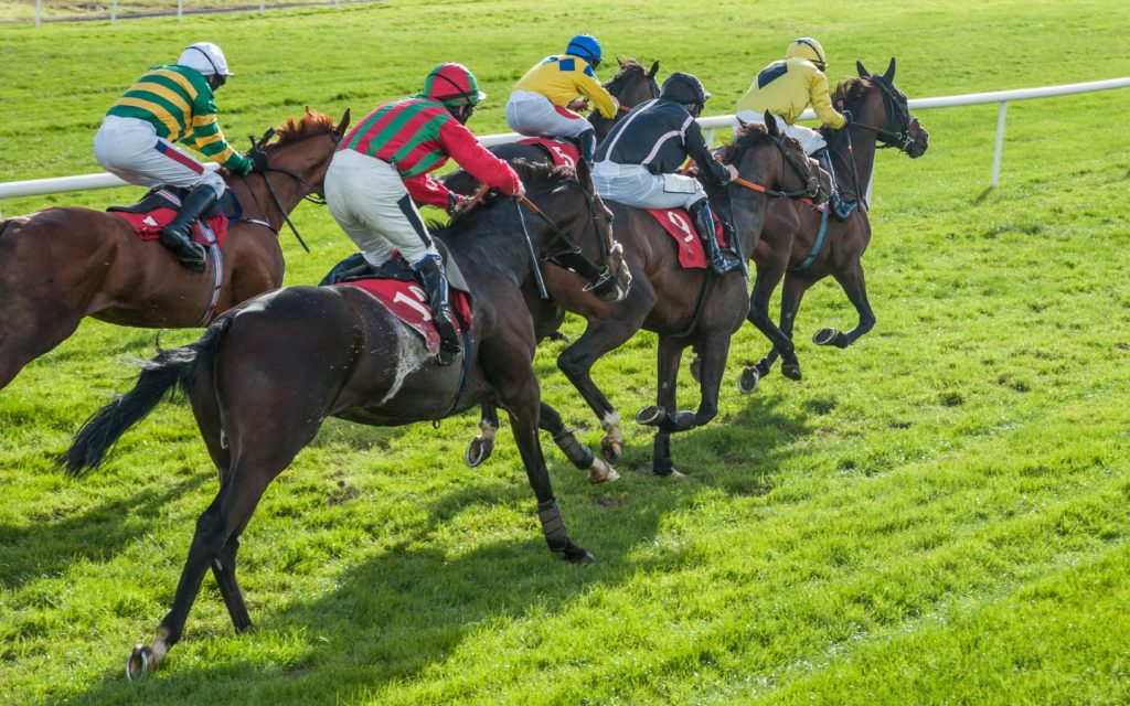 horse riding competition
