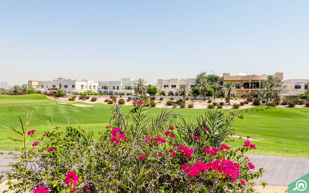 Pros and Cons of Living in Emirates Hills MyBayut